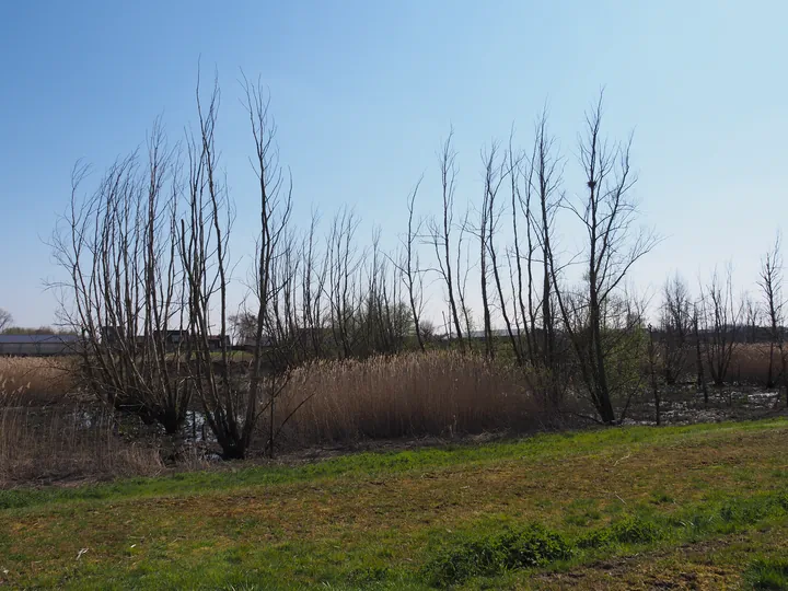 Kalkense Meersen (België)